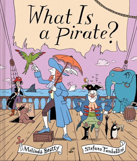 What Is a Pirate?, (Hardcover)