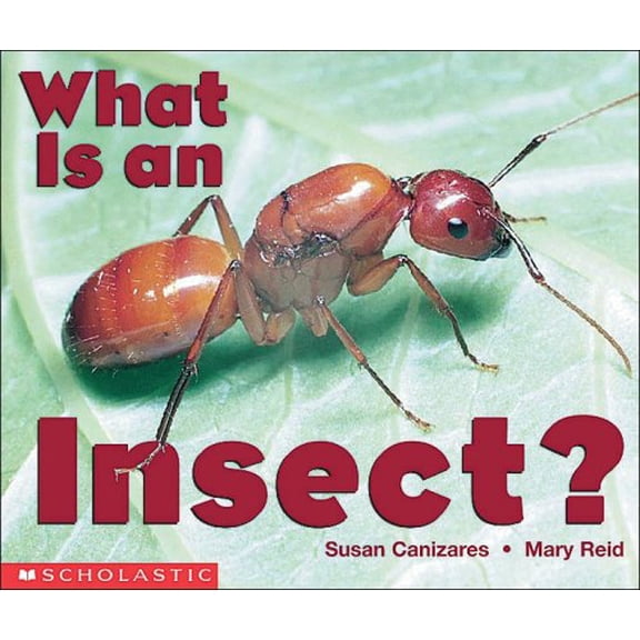 Pre-Owned What Is An Insect? (Emergent Readers), 9780590397902, 0590397907, Paperback,