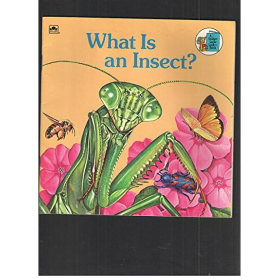 Pre-Owned What Is an Insect? (Golden Look-Look Book) (Paperback) 0307118037 9780307118035
