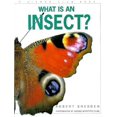 thumbnail image 1 of Pre-Owned What Is an Insect (Hardcover) 0871565404 9780871565402, 1 of 1