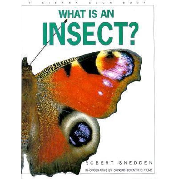 Pre-Owned What Is an Insect (Hardcover) 0871565404 9780871565402