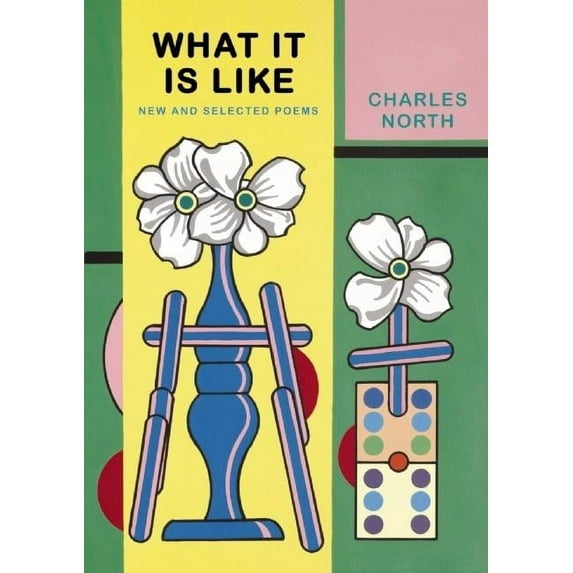 What It Is Like: New and Selected Poems