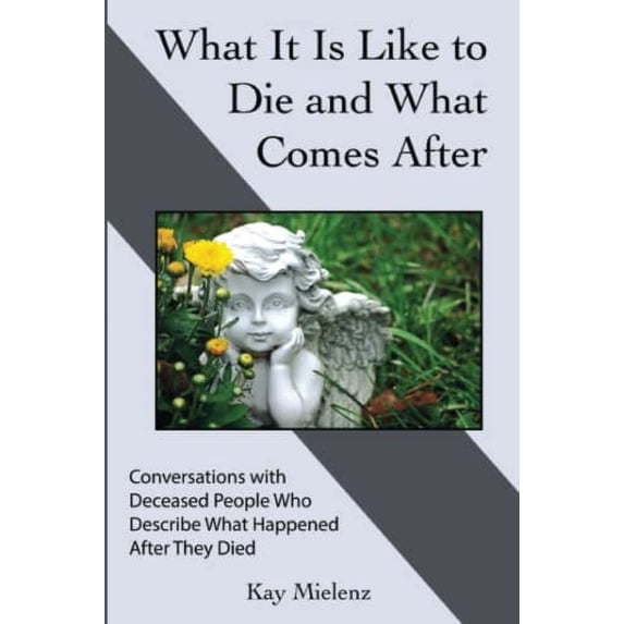 Pre-Owned What It Is Like to Die and What Comes After: Conversations with Deceased People Who Describe What Happened After They Died Paperback