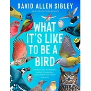What Its Like to Be a Bird Adapted for Young Readers From Flying to Nesting, Eating to Singing--What Birds Are Doing, Hardcover