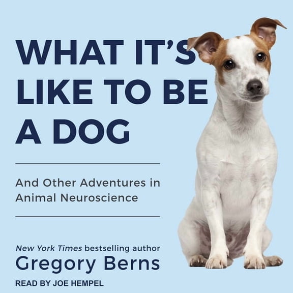What It's Like to Be a Dog : And Other Adventures in Animal Neuroscience