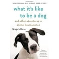 thumbnail image 1 of Pre-Owned What It's Like to Be a Dog: And Other Adventures in Animal Neuroscience (Paperback) 1541672992 9781541672994, 1 of 1