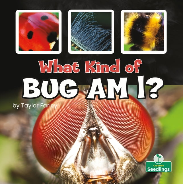 What Kind of Bug Am I?, (Hardcover) - Walmart.com