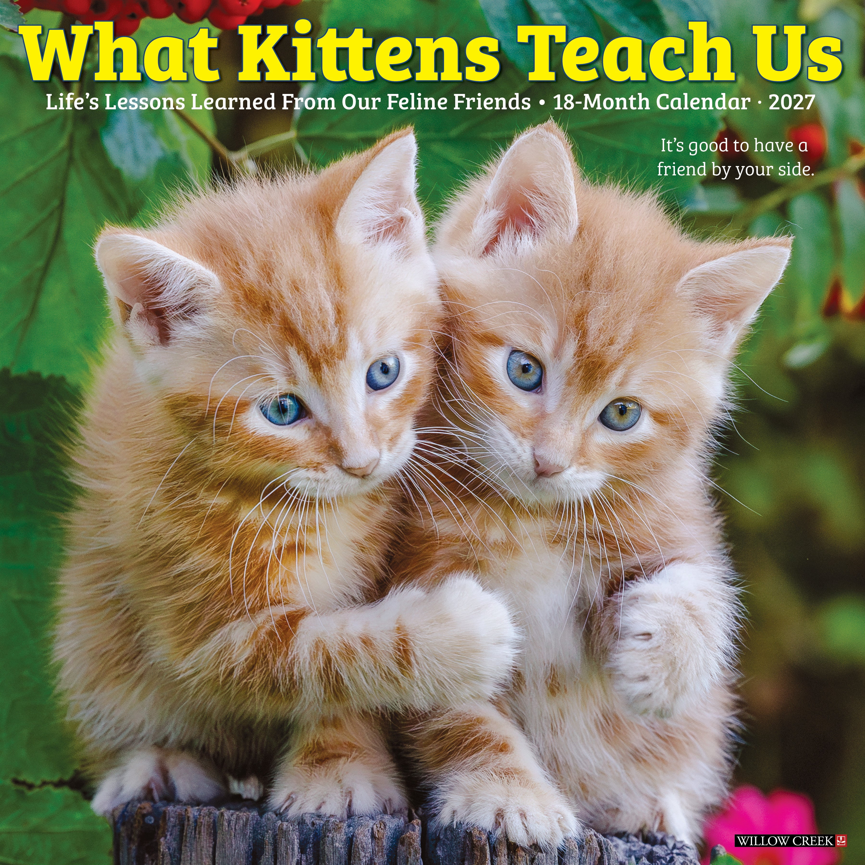 Willow Creek Press, What Kittens Teach Us 2027 Wall Calendar