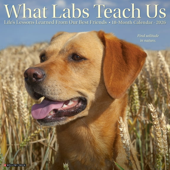 What Labs Teach Us 2026 Wall Calendar