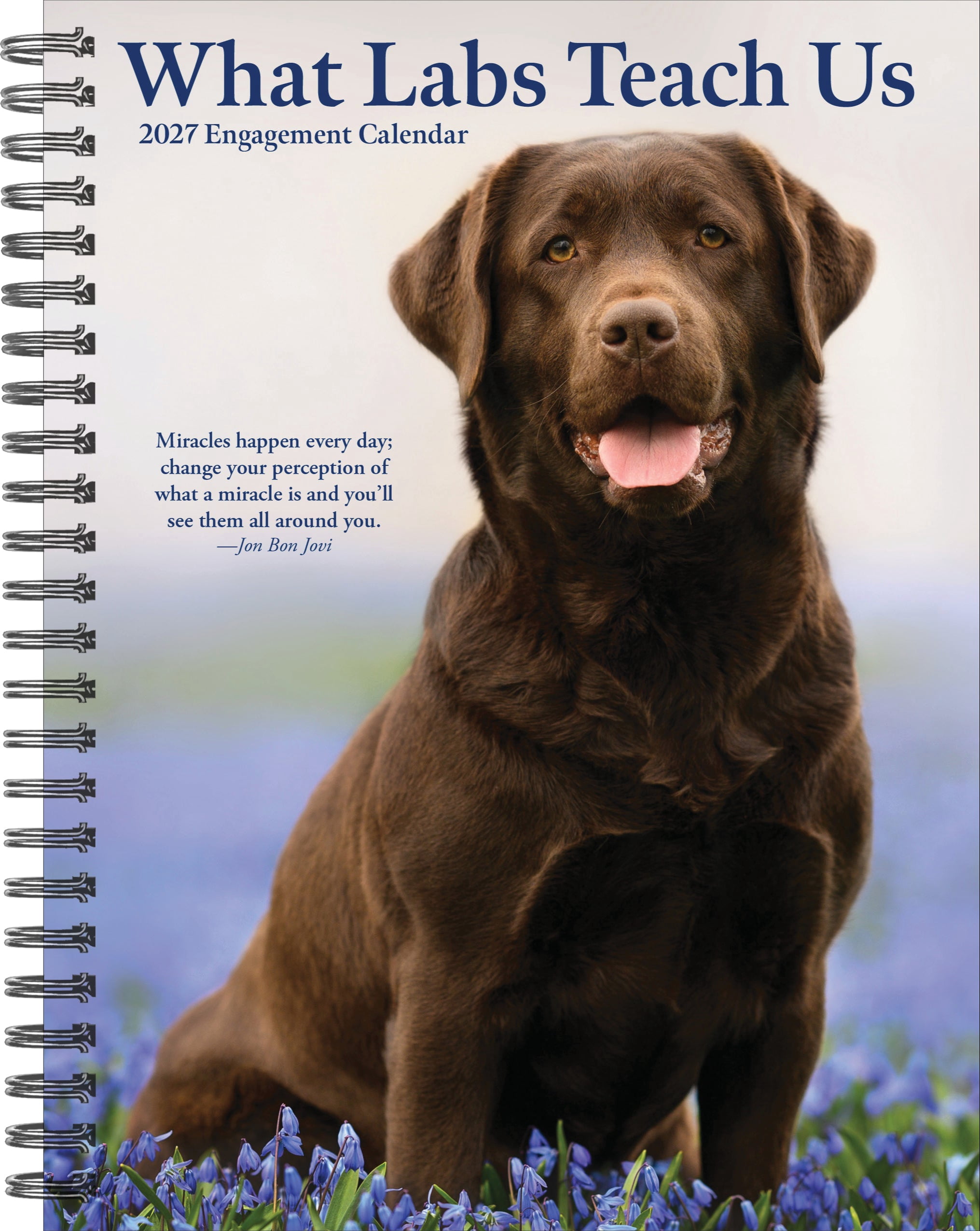 Willow Creek Press, What Labs Teach Us 2027 Engagement Calendar
