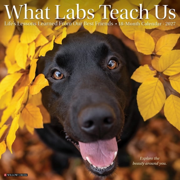 Willow Creek Press, What Labs Teach Us 2027 Wall Calendar