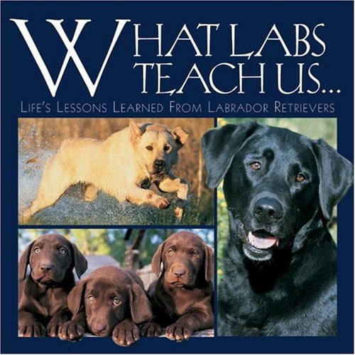 Pre-Owned What Labs Teach Us...: Life's Lessons Learned from Labrador Retrievers (Hardcover) 1595430520 9781595430526
