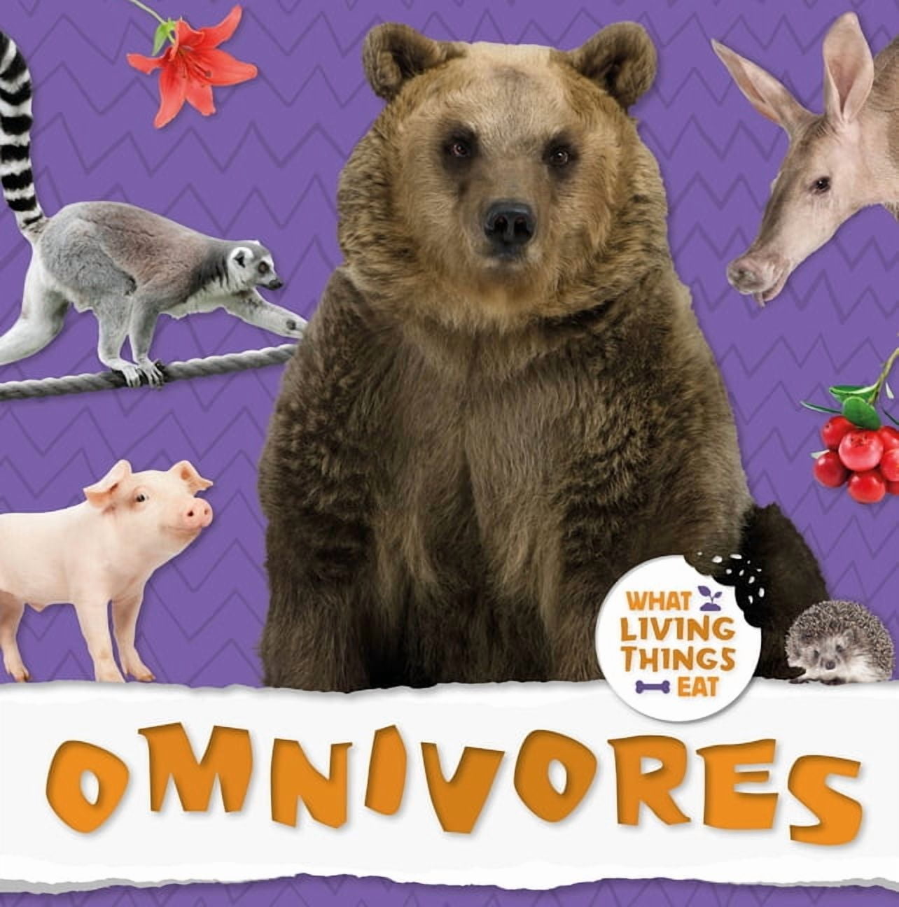 What Living Things Eat Omnivores, (Hardcover) - Walmart.com, image size:1284x1296