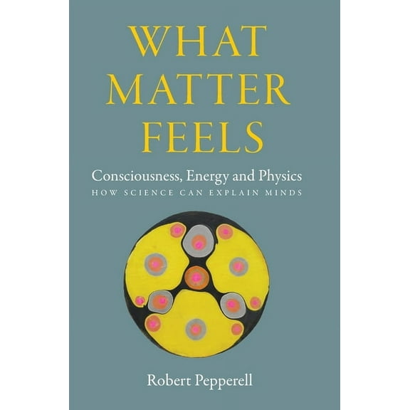 What Matter Feels: Consciousness, Energy and Physics (How Science can Explain Minds), (Hardcover)