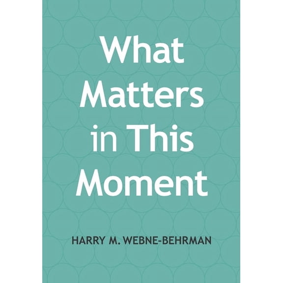 What Matters at Work: What Matters in This Moment: Leading Groups Through Uncertain Times (Paperback)
