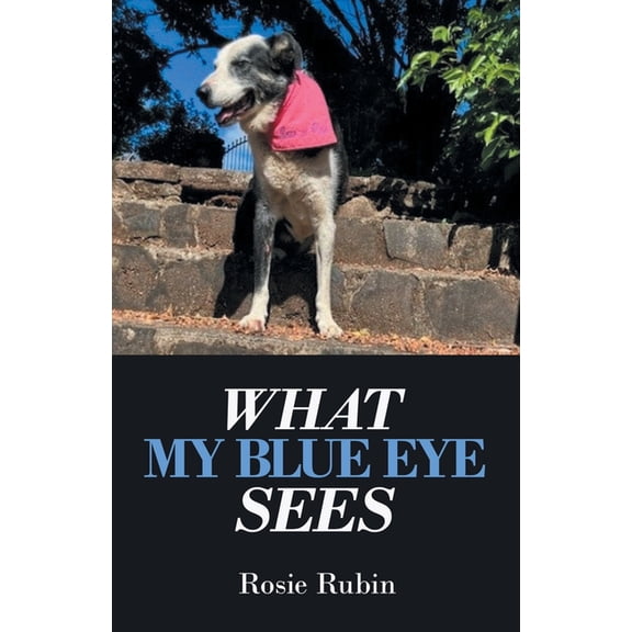 What My Blue Eye Sees, (Paperback)