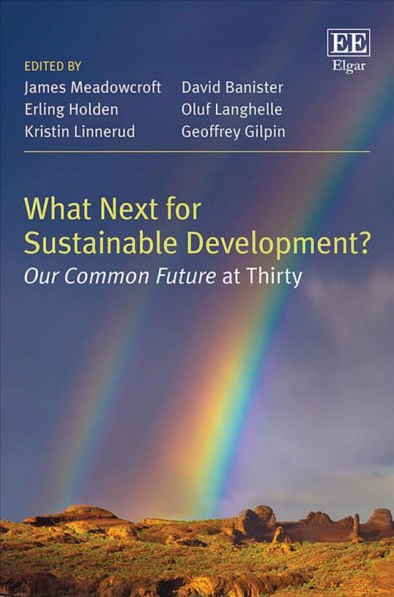 What Next for Sustainable Development? : Our Common Future at Thirty ...