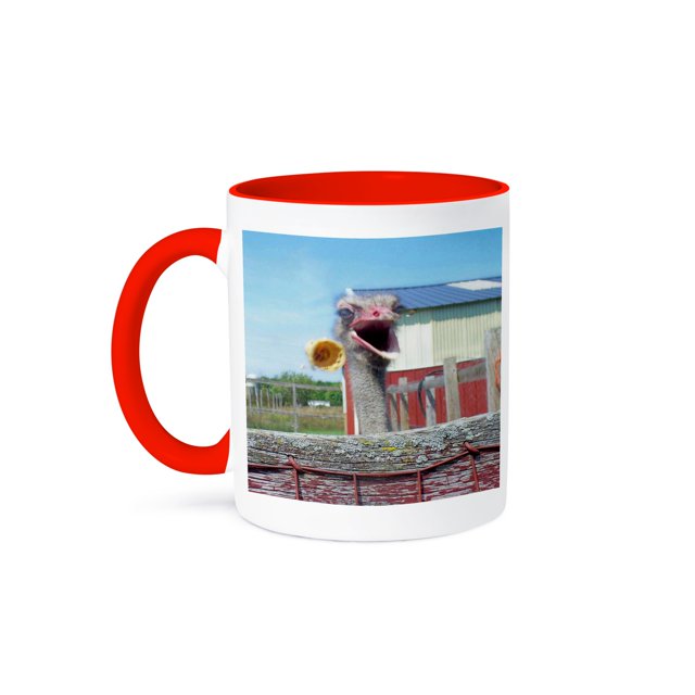 3dRose, What No Ice Cream Ostrich, 15oz Two-Tone Red Mug