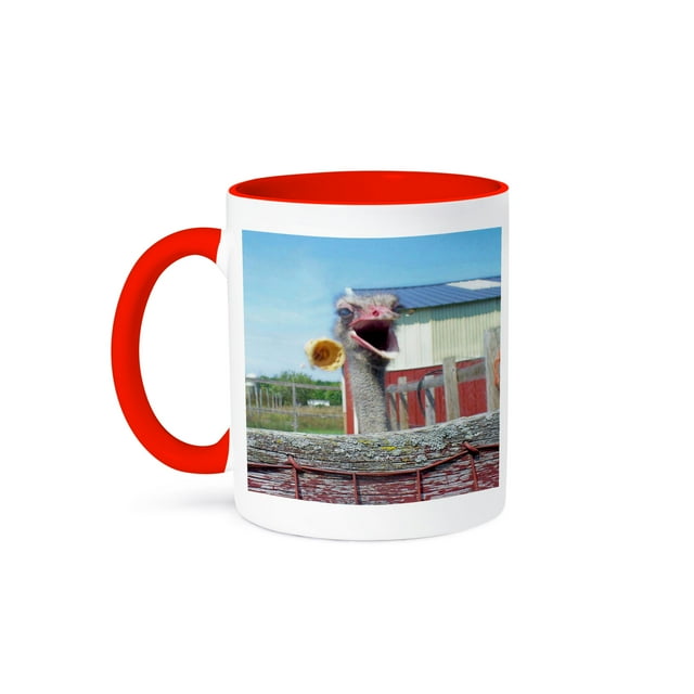3dRose, What No Ice Cream Ostrich, 15oz Two-Tone Red Mug