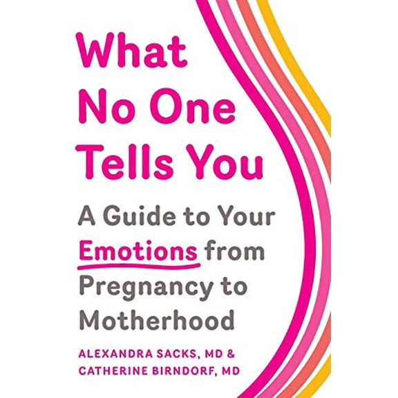 Pre-Owned What No One Tells You: A Guide to Your Emotions from Pregnancy to Motherhood (Paperback) 1501112562 9781501112560
