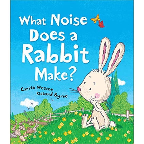 Pre-Owned What Noise Does a Rabbit Make? (Hardcover) 1467720321 9781467720328
