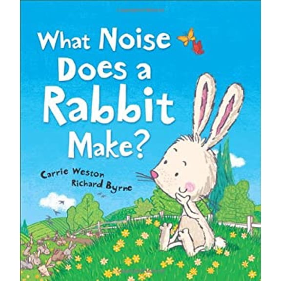 Pre-Owned What Noise Does a Rabbit Make? (Hardcover) 1467720321 9781467720328