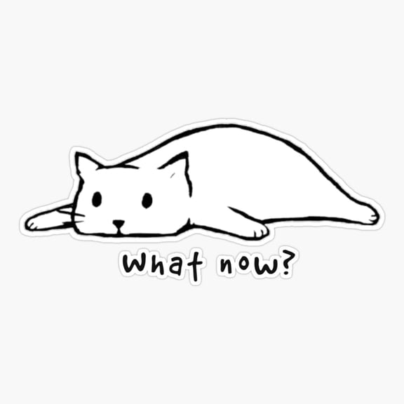 What Now Er, Phone Decal Water Bottle Stickers Car Decals, Funny Birthday Gift