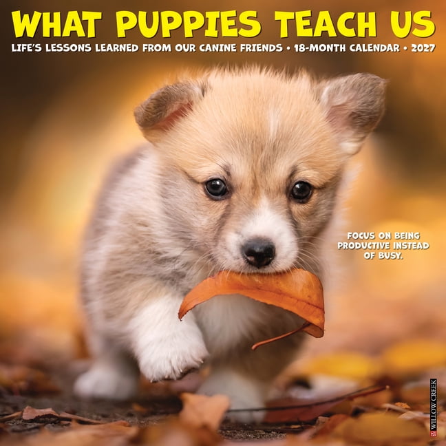 What Puppies Teach Us 2027 12 X 12 Wall Calendar, (Paperback)