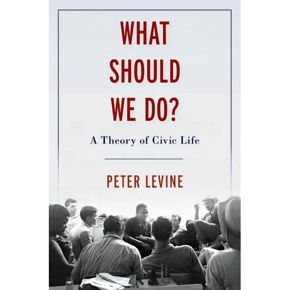 What Should We Do?: A Theory of Civic Life, (Hardcover)