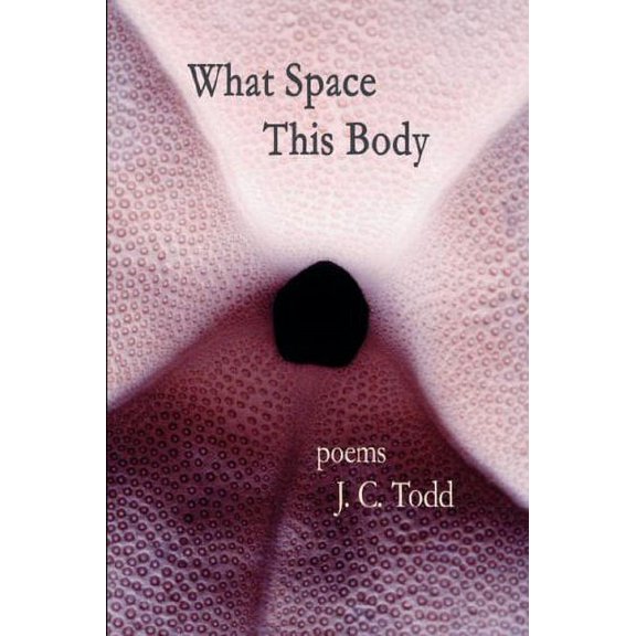 Pre-Owned What Space This Body Paperback