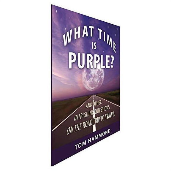 Pre-Owned What Time is Purple (Paperback) 099960564X 9780999605646