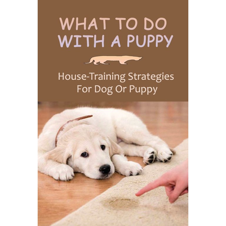 Easy Way To House Train A Puppy