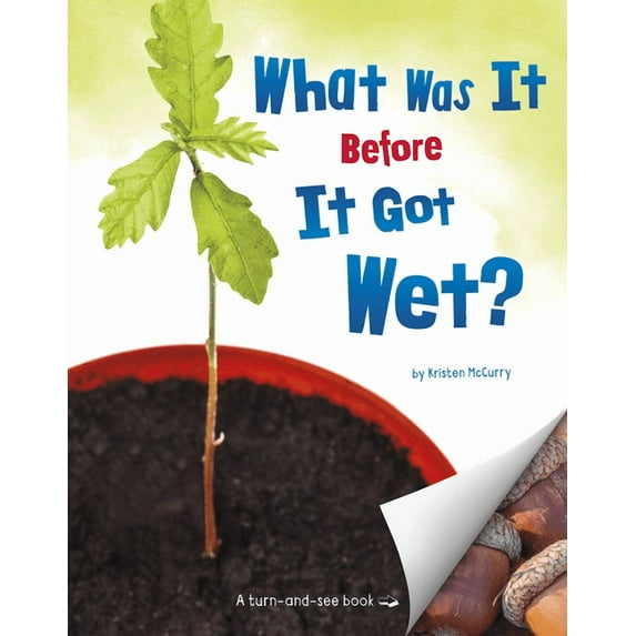 What Was It Before It Got Wet?
