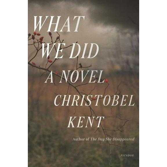 What We Did : A Novel (Paperback)