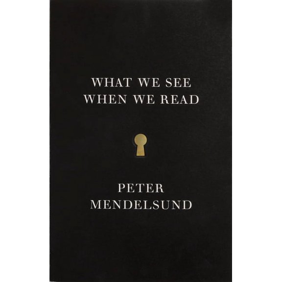 What We See When We Read, (Paperback)