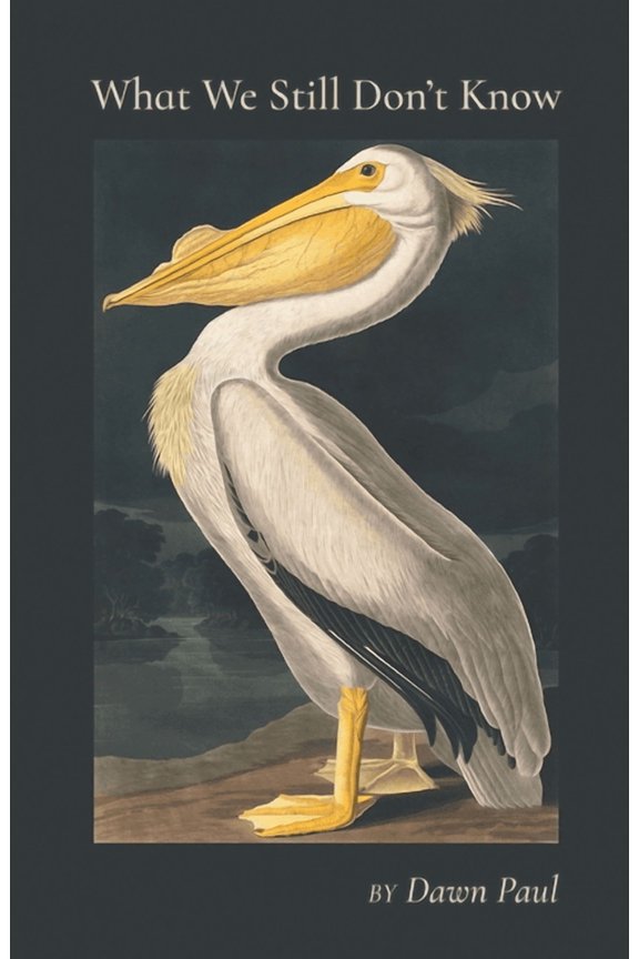 What We Still Don't Know -- Dawn Paul