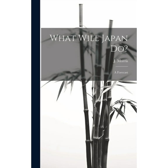 What Will Japan Do?: A Forecast (Hardcover)