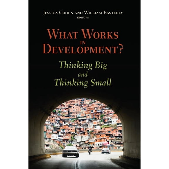 What Works in Development?: Thinking Big and Thinking Small