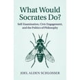 thumbnail image 1 of What Would Socrates Do?: Self-Examination, Civic Engagement, and the Politics of Philosophy, (Paperback), 1 of 1