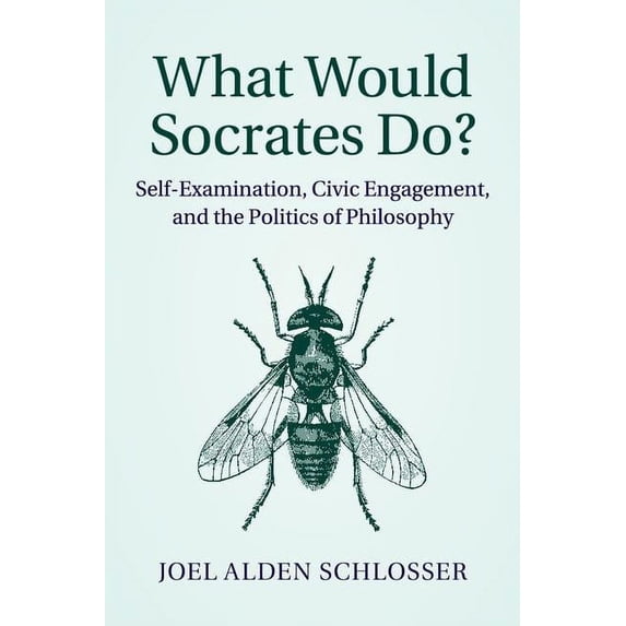 What Would Socrates Do?: Self-Examination, Civic Engagement, and the Politics of Philosophy, (Paperback)