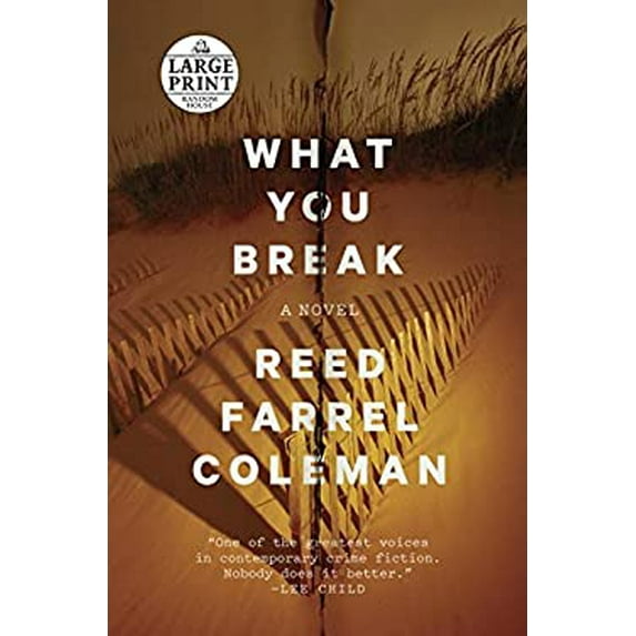 Pre-Owned What You Break (Random House Large Print) 9781524708733