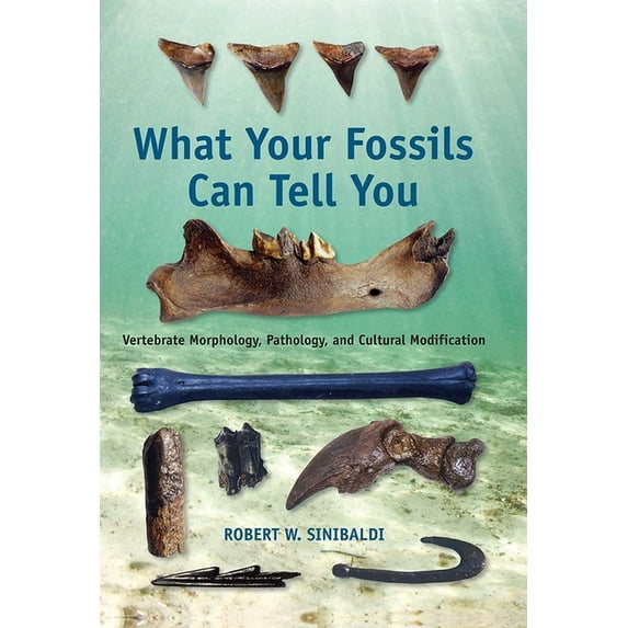 What Your Fossils Can Tell You: Vertebrate Morphology, Pathology, and Cultural Modification, (Paperback)
