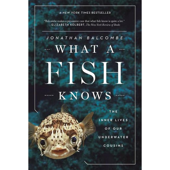 What a Fish Knows : The Inner Lives of Our Underwater Cousins (Paperback)
