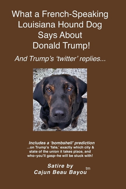 What a French Speaking Louisiana Hound Dog Says About Donald Trump: and Trump's 'twitter' replies, (Paperback)