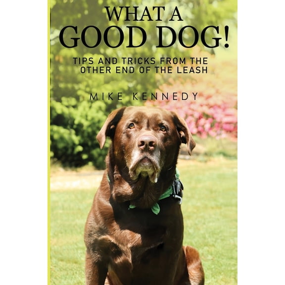 What a Good Dog! Tips and Tricks from the Other End of the Leash., (Paperback)