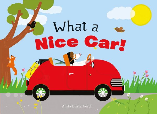 What a Nice Car! - Walmart.com
