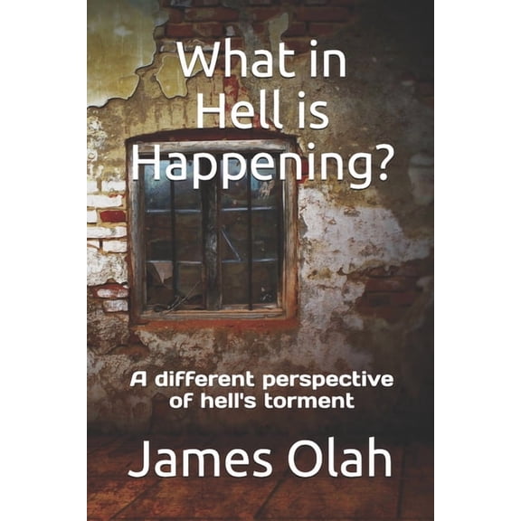Christian Faith What in Hell is Happening?: A different perspective of hell's torment, Book 4, (Paperback)