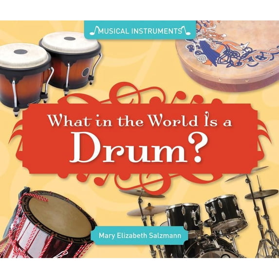 What in the World Is a Drum? (Hardcover) 9781617832048