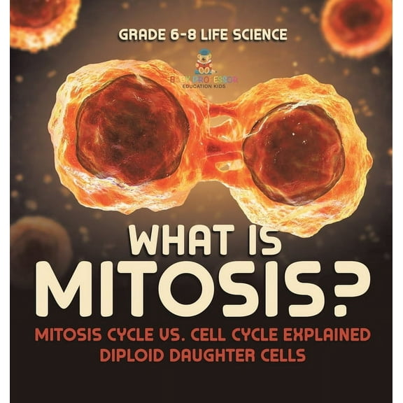 What is Mitosis? Mitosis Cycle vs. Cell Cycle Explained Diploid Daughter Cells Grade 6-8 Life Science, (Hardcover)