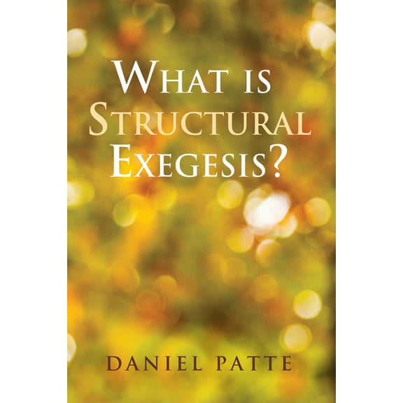 What is Structural Exegesis? (Paperback)